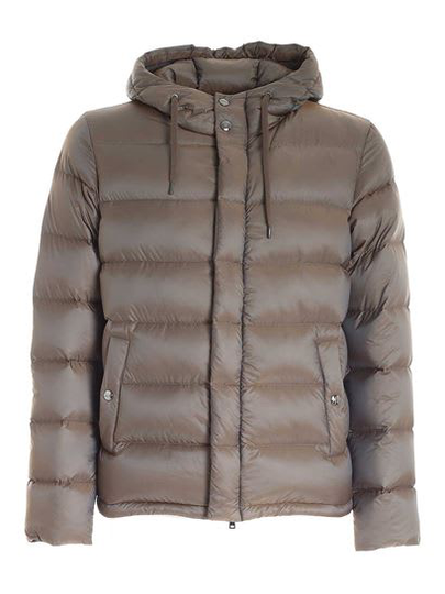 Herno Hooded Down Jacket
