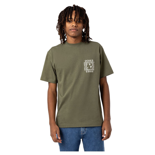 Dickies Marbury Short Sleeve T-shirt Green S Man