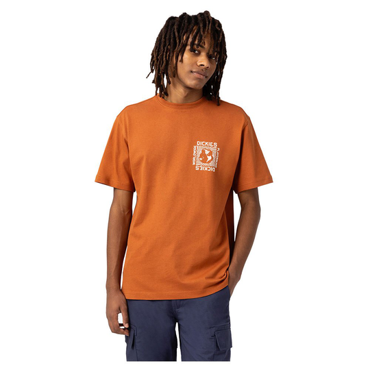 Dickies Marbury Short Sleeve T-shirt Orange S Man