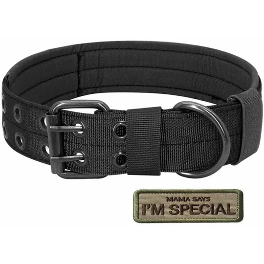 Military Tactical Dog Collar Adjustable Nylon Metal D-Ring Buckle for Dog Training - Classic Solid Color Collection
