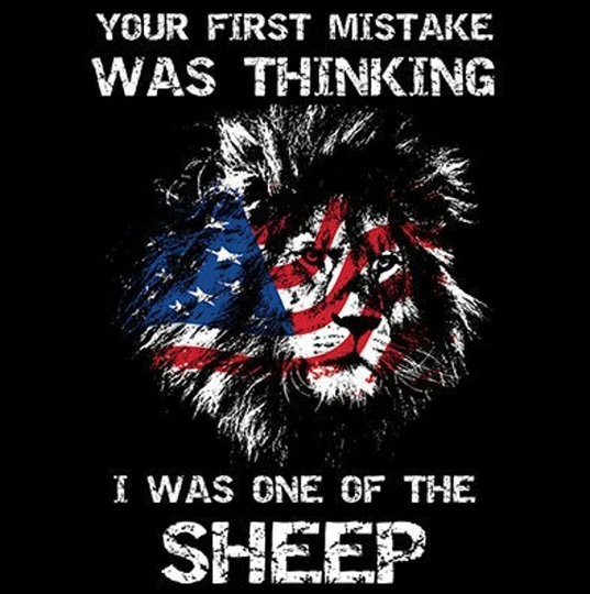 Your First Mistake Was Thinking I One Of The Sheep Lion Shirt